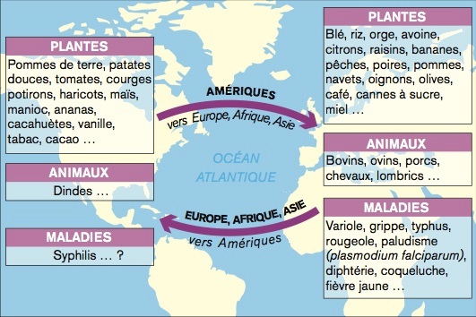 quelle maladie la tomate rencontre elle le plus fréquemment